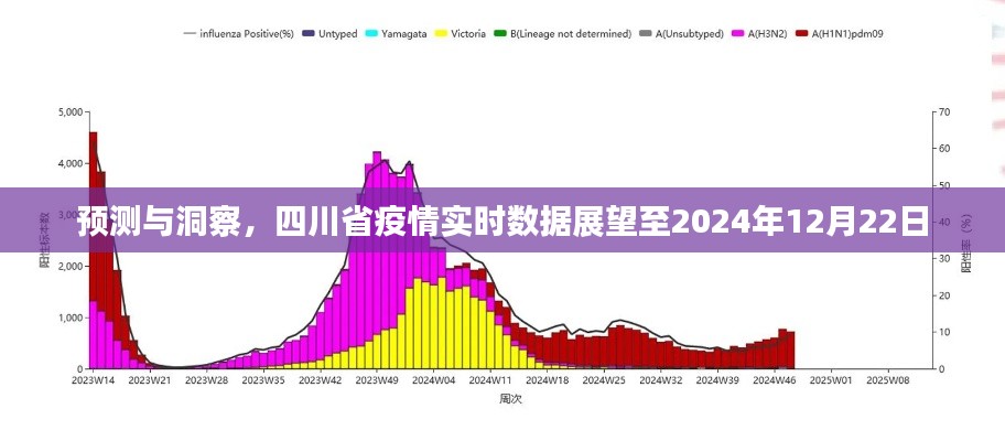 四川省疫情预测与洞察，实时数据展望至2024年12月22日分析