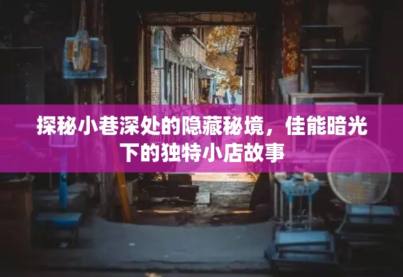 第1178页