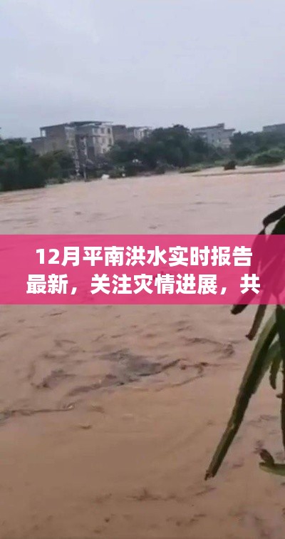 第1171页