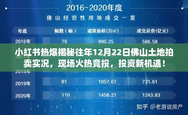 小红书揭秘，佛山土地拍卖日盛况，投资新机遇来临！