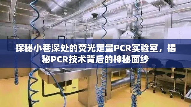 浅笑轻吟梦一曲 第3页