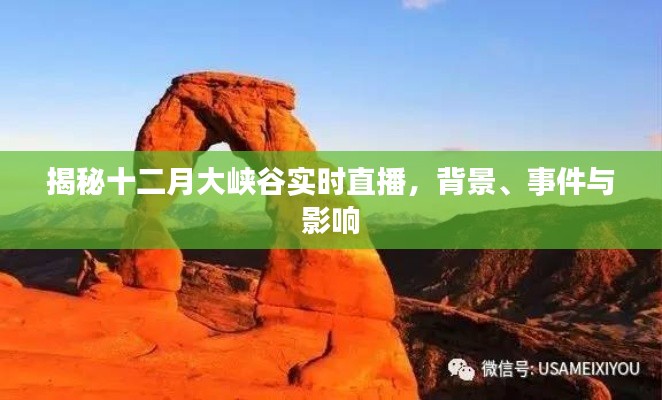 金石为开 第3页