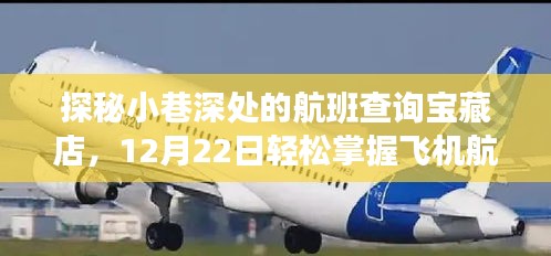 探秘航班查询宝藏店，轻松掌握飞机航班实时动态（独家报道）