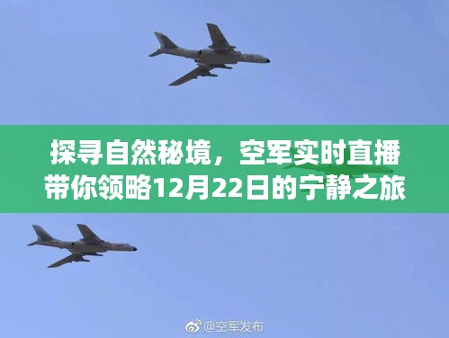 空军实时直播，探寻自然秘境的宁静之旅（12月22日）