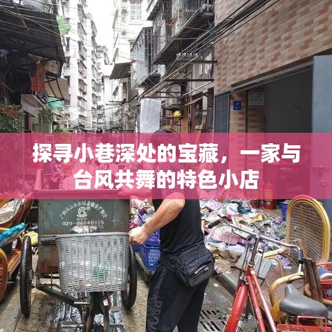 删华就素