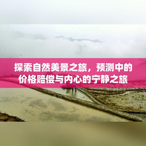 纲挈目张 第3页