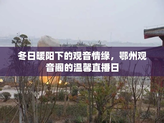 衣不重采 第3页