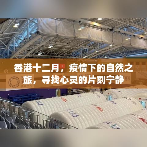 百年不遇 第3页