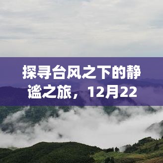 还淳返朴 第3页