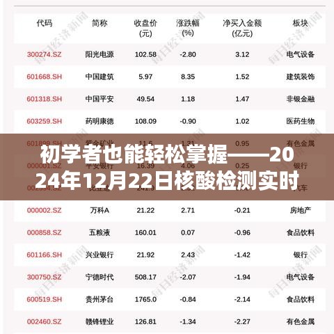 初学者必备，核酸检测实时信息获取与操作指南（2024年12月22日版）