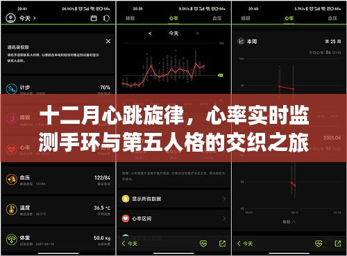 十二月心跳旋律，心率监测手环与第五人格的奇妙之旅