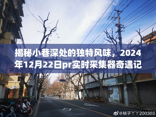 飞燕化龙 第3页