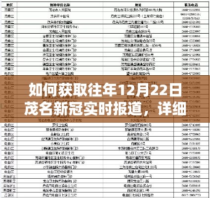 获取往年12月22日茂名新冠实时报道的详细步骤指南
