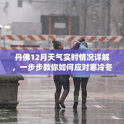 丹佛12月天气详解与寒冷冬季应对指南