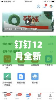 钉钉12月全新升级，实时人数记录功能助力高效管理与智能生活