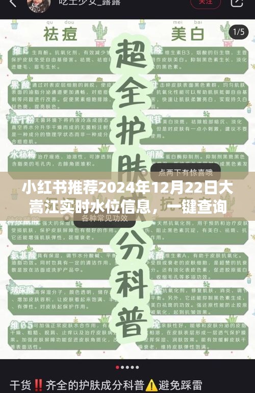 小红书推荐，大嵩江实时水位信息一键查询，轻松掌握水位动态！