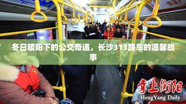 冬日公交奇遇，长沙313路车温馨故事