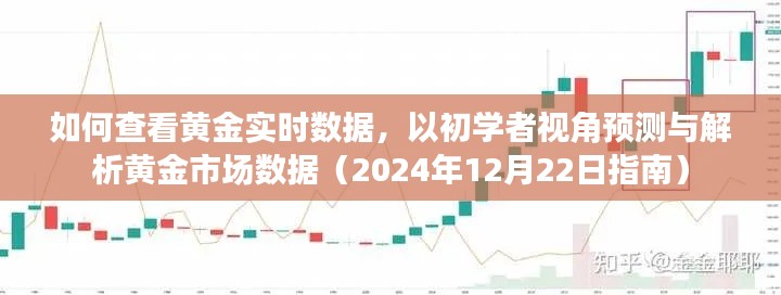 初学者指南，如何查看黄金实时数据并解析市场趋势（2024年黄金市场数据预测）