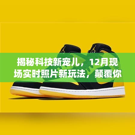 神气十足 第3页