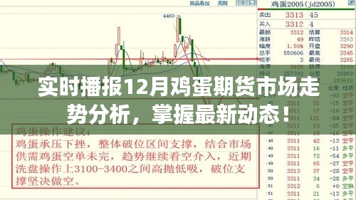 一言九鼎 第3页