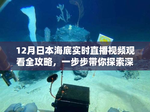 探索深海奥秘，日本海底实时直播视频观看全攻略