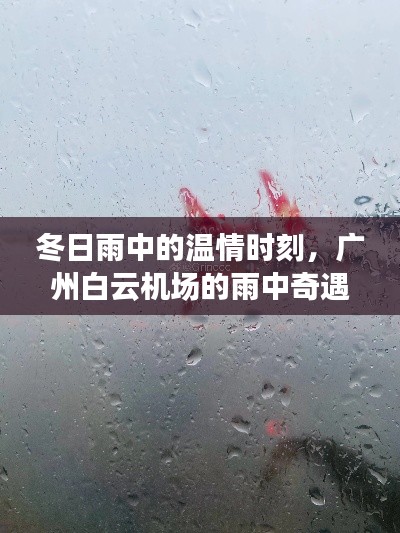 流光飞舞 第3页