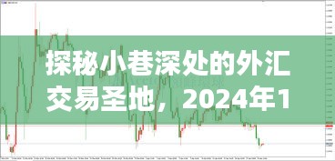 探秘外汇交易圣地，实时晒单之旅，揭秘小巷深处的秘密（2024年12月22日）