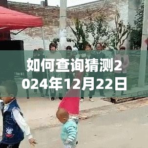 步骤指南，如何查询最新2024年12月22日实时轮船时刻表信息