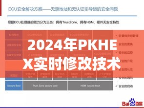 深度解析，2024年PKHEX实时修改技术的背景、发展、影响与地位