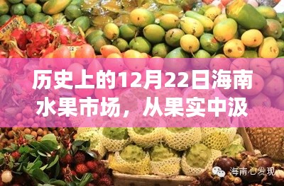 历史上的海南水果市场，汲取力量，励志篇章从果实中展开