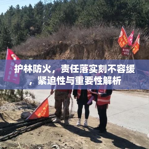 护林防火，责任落实刻不容缓，紧迫性与重要性解析