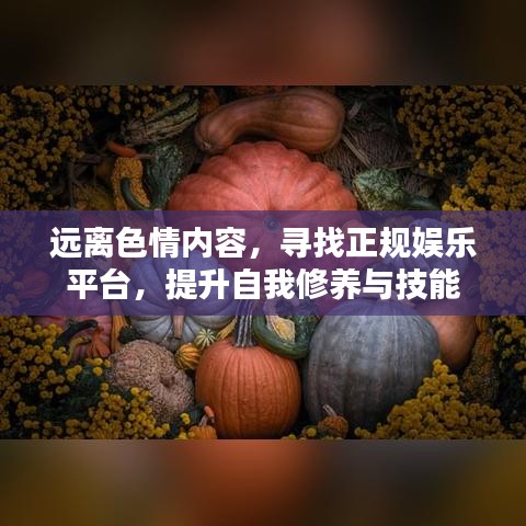 远离色情内容，寻找正规娱乐平台，提升自我修养与技能