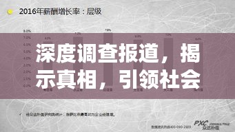 深度调查报道，揭示真相，引领社会思考