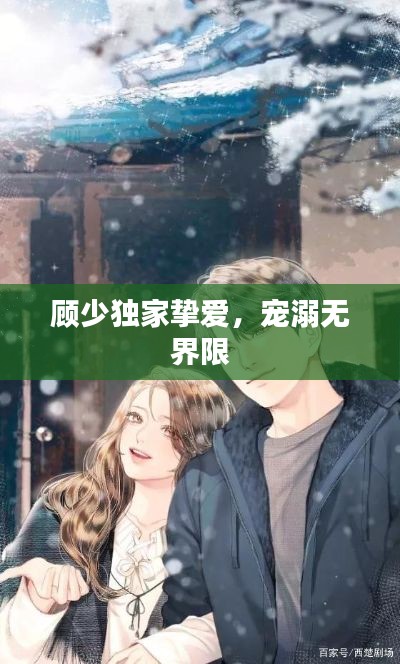 顾少独家挚爱，宠溺无界限