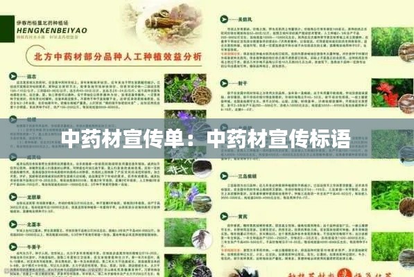 中药材宣传单：中药材宣传标语 
