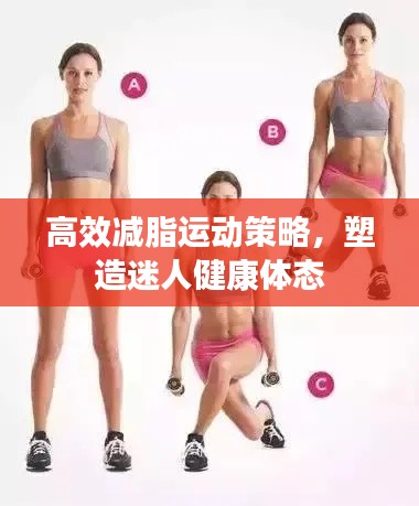高效减脂运动策略，塑造迷人健康体态