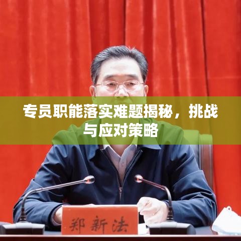 专员职能落实难题揭秘，挑战与应对策略