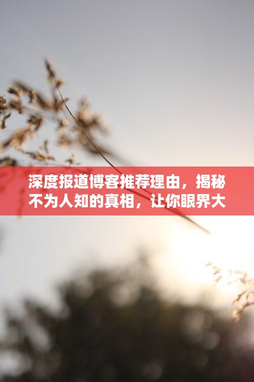 深度报道博客推荐理由，揭秘不为人知的真相，让你眼界大开！
