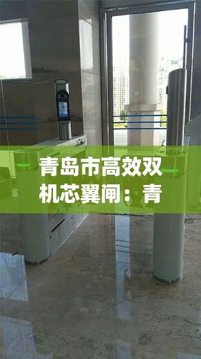 青岛市高效双机芯翼闸：青岛双翼航空咨询有限公司 