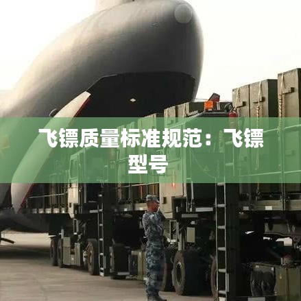 飞镖质量标准规范：飞镖型号 
