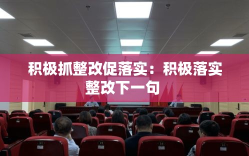 积极抓整改促落实：积极落实整改下一句 