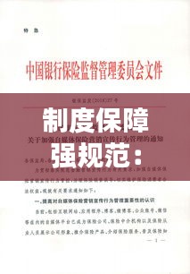 制度保障强规范：制度 保障 