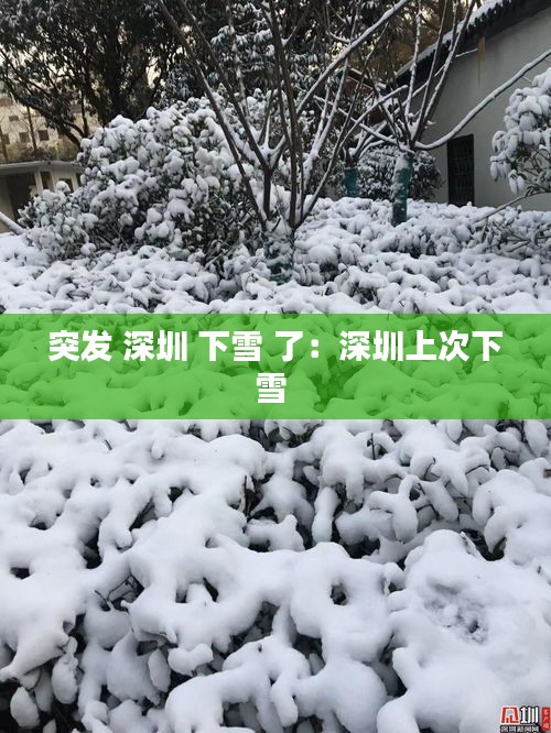 突发 深圳 下雪 了：深圳上次下雪 