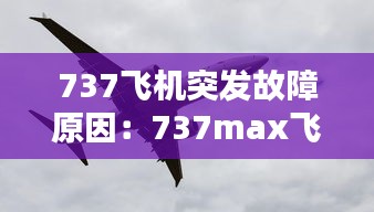 737飞机突发故障原因：737max飞机问题 