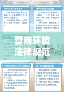 营商环境法律规范提升：营商环境法律问题 