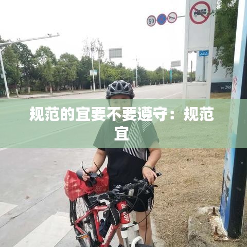 规范的宜要不要遵守：规范 宜 