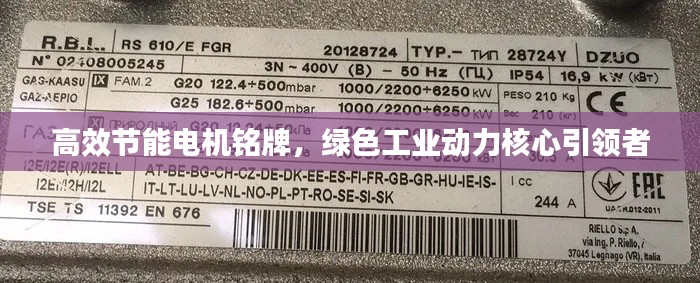 高效节能电机铭牌，绿色工业动力核心引领者