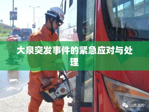 大泉突发事件的紧急应对与处理