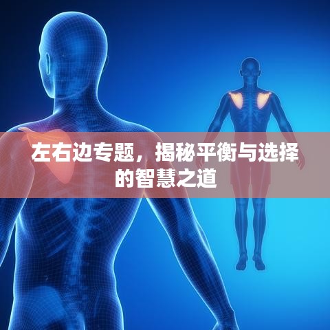 左右边专题，揭秘平衡与选择的智慧之道