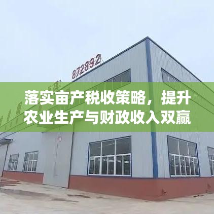 落实亩产税收策略，提升农业生产与财政收入双赢效益